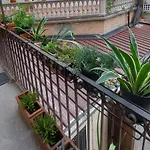Millenovecento Apartament *